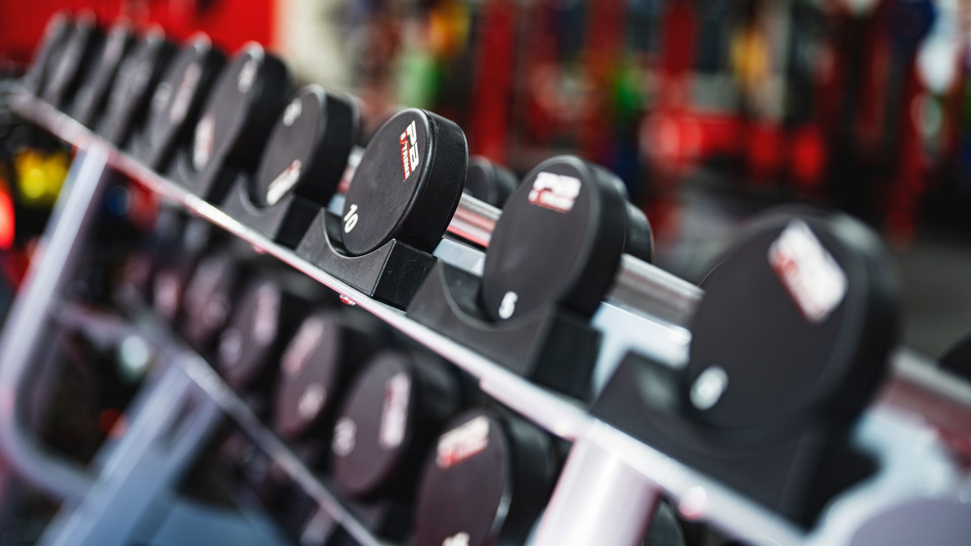 Row of dumbbells on a rack in a gym